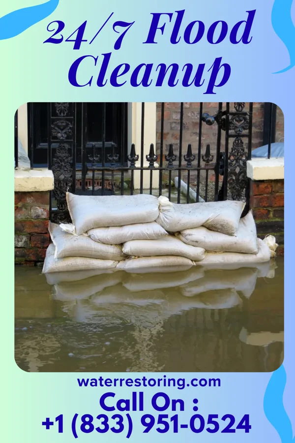 24/7 Flood Cleanup in Allendale, NJ