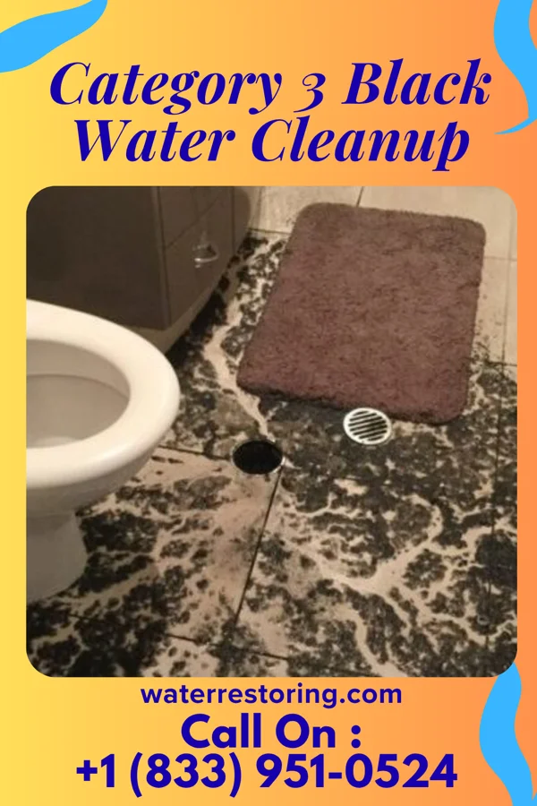 Category 3 Black Water Cleanup in Allendale, NJ