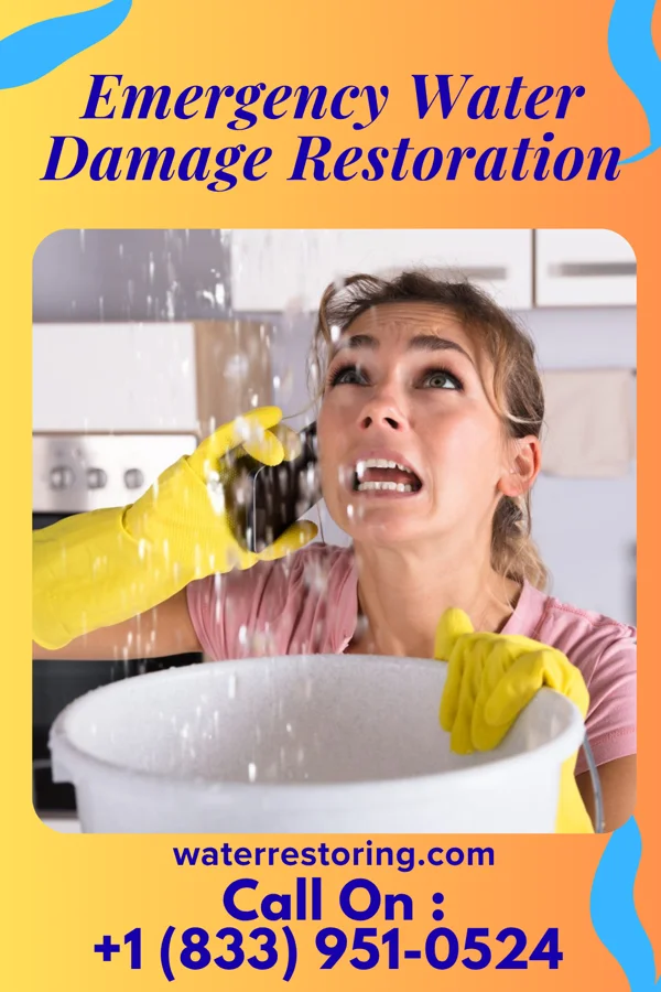 Emergency Water Damage Restoration in Allendale, NJ