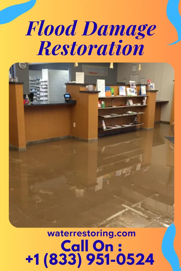 Flood Damage Restoration in Allendale, NJ