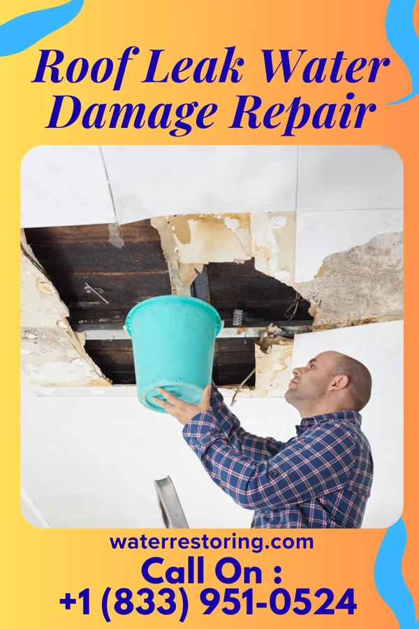 Roof Leak Water Damage Repair in Allendale, NJ