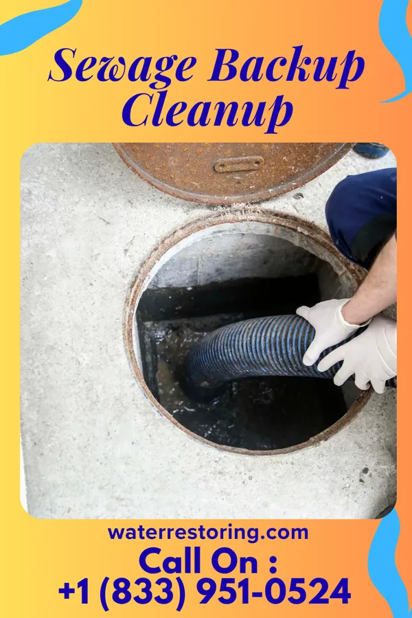 Sewage Backup Cleanup in Allendale, NJ