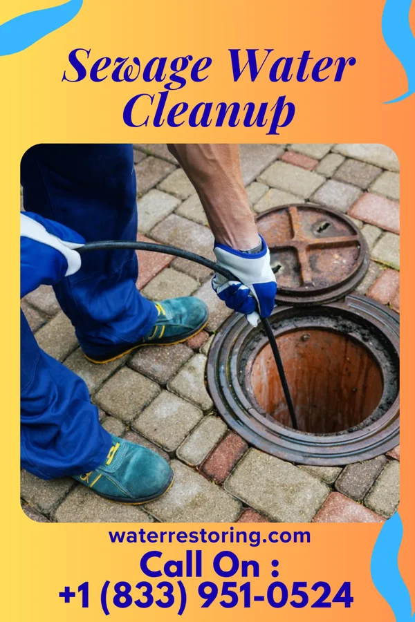Sewage Water Cleanup in Allendale, NJ