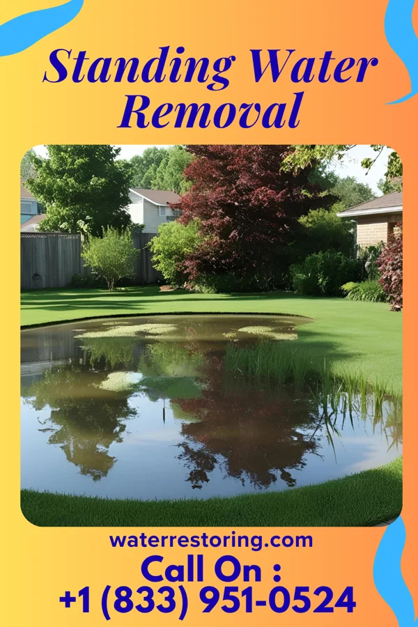 Standing Water Removal in Allendale, NJ
